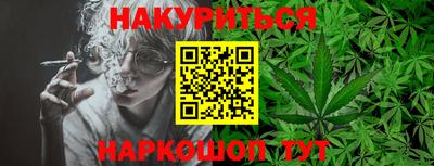 трава Гатчина