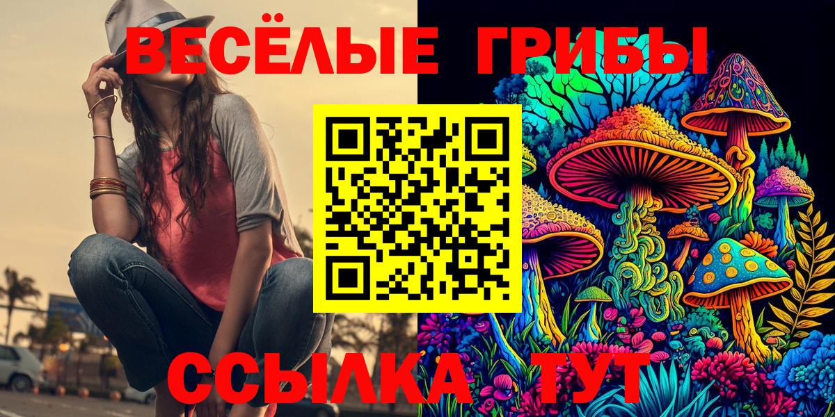 Псилоцибиновые грибы мицелий Берёзовский